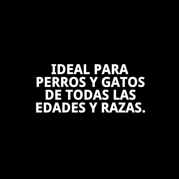 Clicker Training Mosquetón: Adiestra a tu Mascota Fácilmente