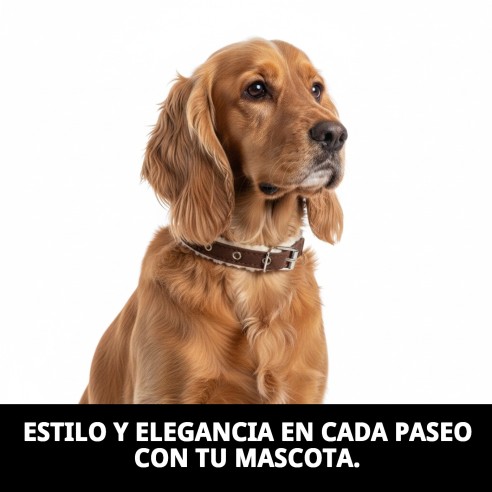 Collar Luxury Piel Nube 1,5x35cms para tu mascota elegante