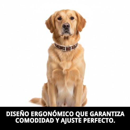 Collar Luxury Piel Nube 1,5x35cms para tu mascota elegante