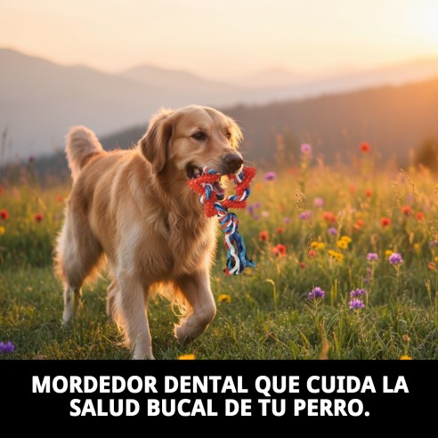 Mordedor Estrella Dental TPR para Perros - 26 cm