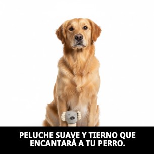 Peluche Osito para Perros de 20 cm | Juguete Ideal y Seguro 2