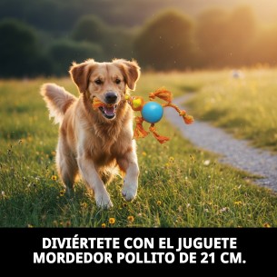 Juguete Mordedor Perro Pollito 21 cm - Diversión Asegurada 2