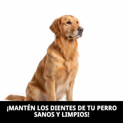 Lanzador Estrella Dental TPR 45cm: Juega y Cuida a tu Mascota