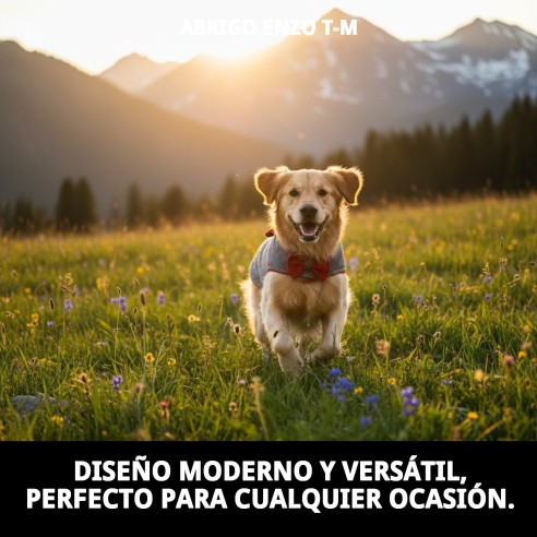 Abrigo Enzo T-M: Estilo y Comodidad para tu Mascota