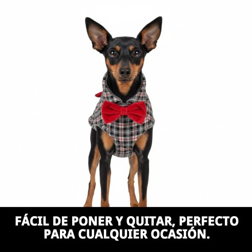 Abrigo Izan T-XXS: Calidez y Estilo para Tu Mascota