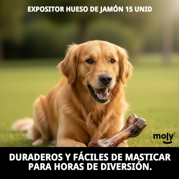 Expositor de Hueso de Jamón para Perros - 15 Unidades