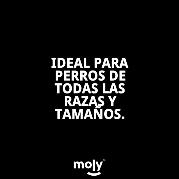 Expositor Orejas de Cerdo Deshidratadas para Perros - 25 Unid