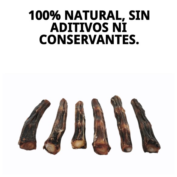 Rabo de Buey S para perros 100% natural y saludable