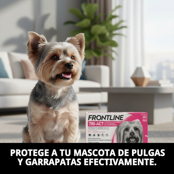 Frontline Tri-Act: Protección total para perros de 2-5 kg