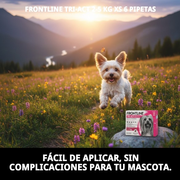 Frontline Tri-Act: Protección total para perros de 2-5 kg