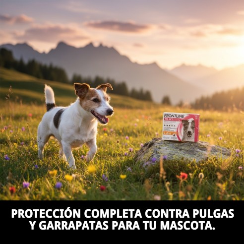 Frontline Tri-Act 5-10 kg: Protección total para tu perro