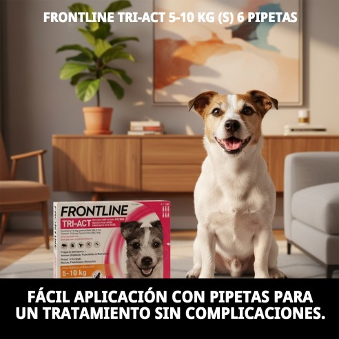 Frontline Tri-Act 5-10 kg: Protección total para tu perro