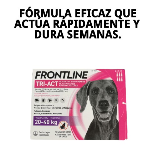Frontline Tri-Act: Protección Total para Perros 10-20 kg
