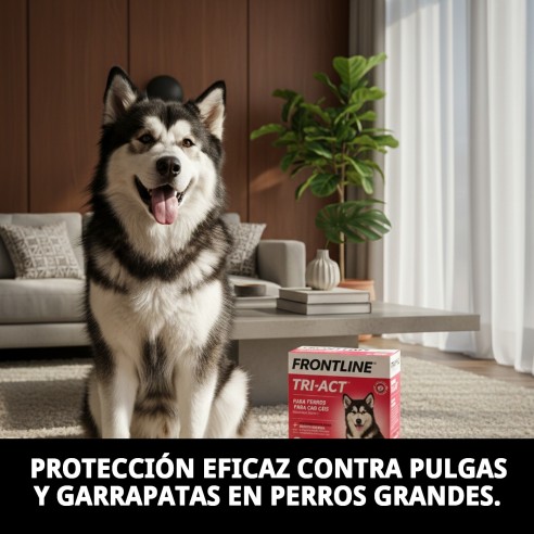 Frontline Tri-Act 40-60 kg: Protección total para tu perro
