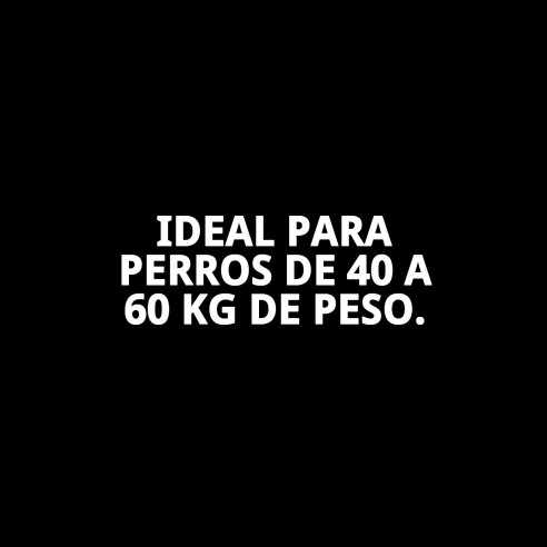 Frontline Tri-Act 40-60 kg: Protección total para tu perro
