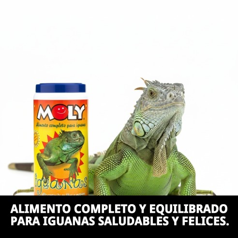 Alimento Completo Moly Iguanas 360g - Nutrición Ideal