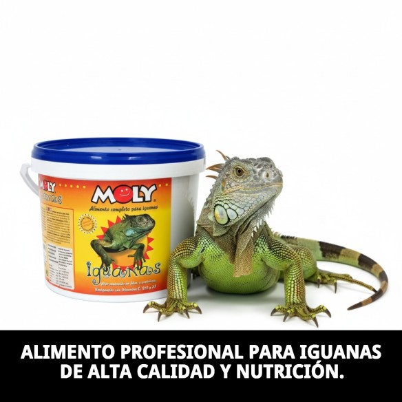Alimento Profesional Moly Iguanas 3kg para Iguanas Verdes