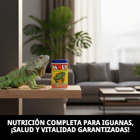 MOLY IGUANAS: Alimento Completo 100g para Iguanas