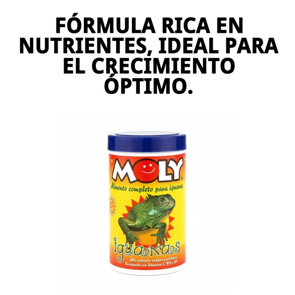 MOLY IGUANAS: Alimento Completo 100g para Iguanas