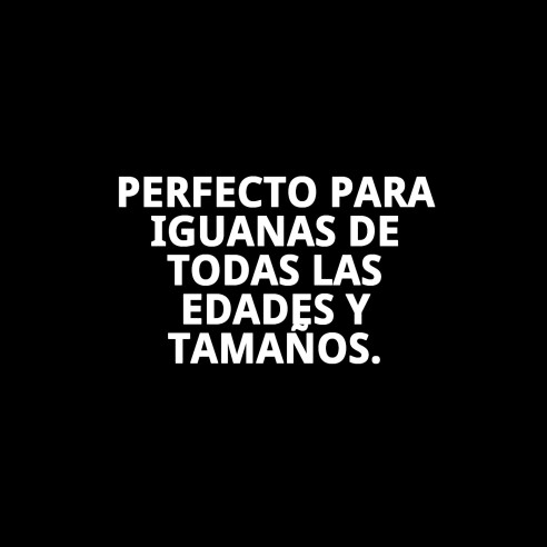MOLY IGUANAS: Alimento Completo 100g para Iguanas