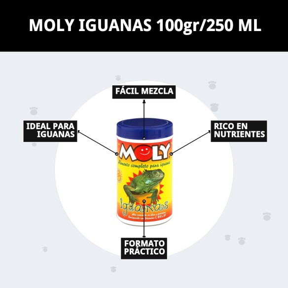 MOLY IGUANAS: Alimento Completo 100g para Iguanas