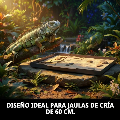 Bandeja Plástico Jaulón de Cría 60 cm para Mascotas