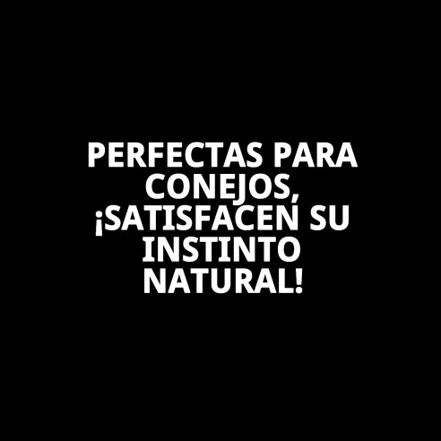 Barritas Fruta para Conejos 2 Unid - Snack Saludable