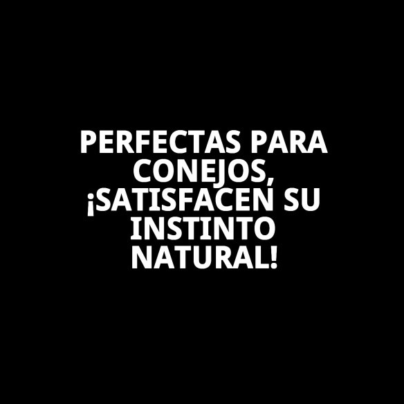 Barritas Fruta para Conejos 2 Unid - Snack Saludable