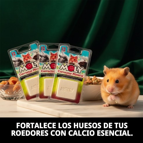 Moly Calcio para Roedores 100g - Suplemento Esencial