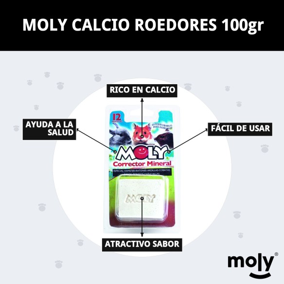 Moly Calcio para Roedores 100g - Suplemento Esencial