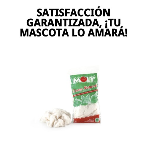 Cama MOLY para Roedores 30g - Comodidad y Calidez