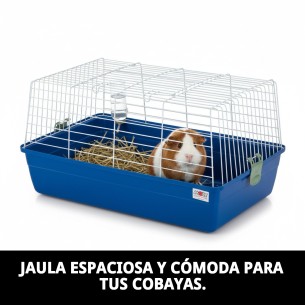 Jaula Cobaya N.1 Desmontable 60 x 36 x 32 cm Ideal para tu Mascota 2