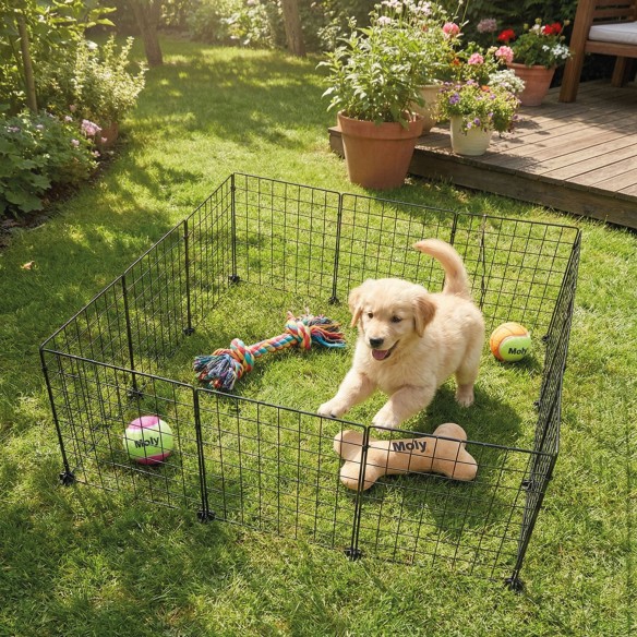 Parque para Perros 12 Pzas 35x35 cm - Seguridad y Comodidad