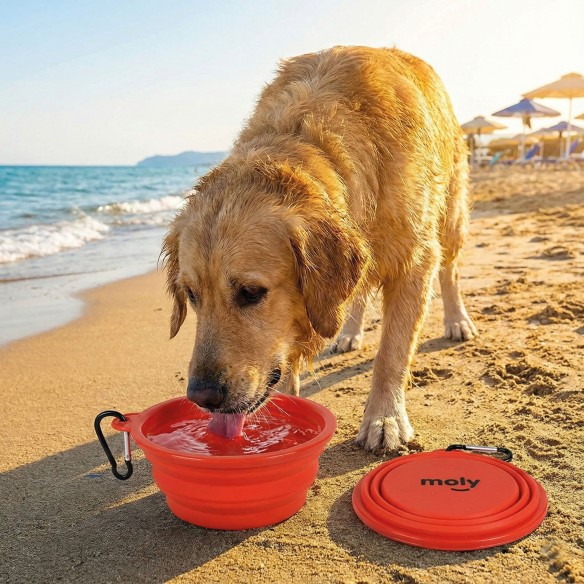 Comedero Plegable Silicona 350ml para Viajes con Mascotas