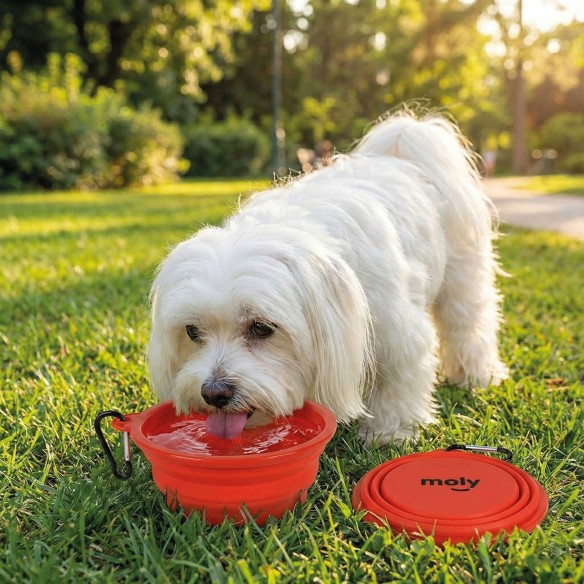 Comedero Plegable Silicona 350ml para Viajes con Mascotas