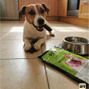 Salchichas de Cerdo Ibérico para Perros - Delicia Gourmet 2