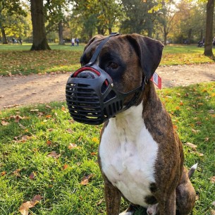 Bozal cesta cuero para perros con hocico ancho Moly máxima calidad -  2