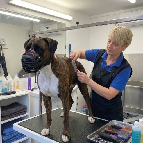 Bozal de Cesta de Cuero para Perros de Hocico Ancho