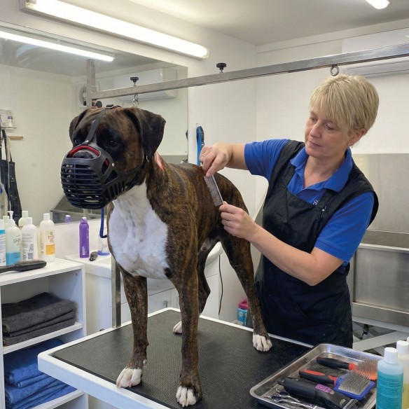 Bozal de Cesta de Cuero para Perros de Hocico Ancho