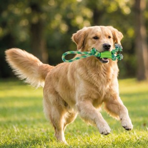 Lanzador Mordedor 35 cm Green: Diversión y Ejercicio Canino 2