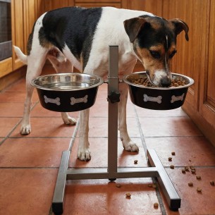 Comedero Doble Regulable en Altura para Perros – 2 Cuencos de 1.55 L (22 cm) Moly -  2