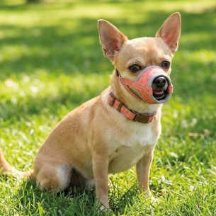 Bozal Deluxe Escocés T-S: Comodidad y Estilo para tu Mascota 2