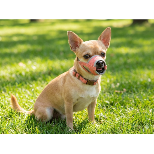 Bozal Deluxe Topitos T-S: Confort y Estilo para tu Mascota