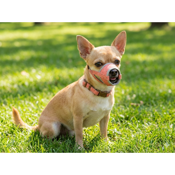 Bozal Deluxe Topitos T-S: Confort y Estilo para tu Mascota