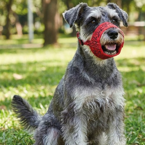 Bozal Deluxe Topitos T-S: Confort y Estilo para tu Mascota