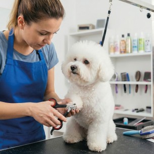 CORTAUÑAS PEQUEÑO MOLY CONFORT 2