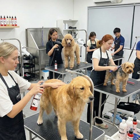 Perfume Aroma Vainilla para Mascotas 125ml Fresco y Duradero