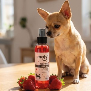 PERFUME AROMA FRESA 125ml 2