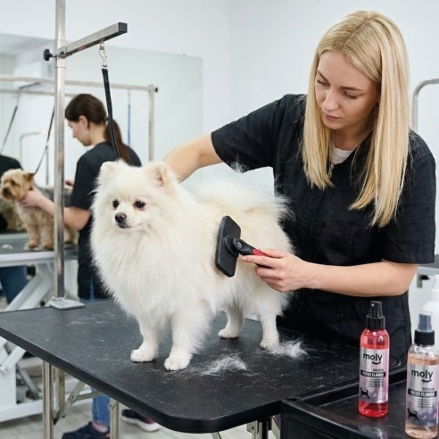 Carda Expulsa Pelo Mediana Moly Confort para Mascotas