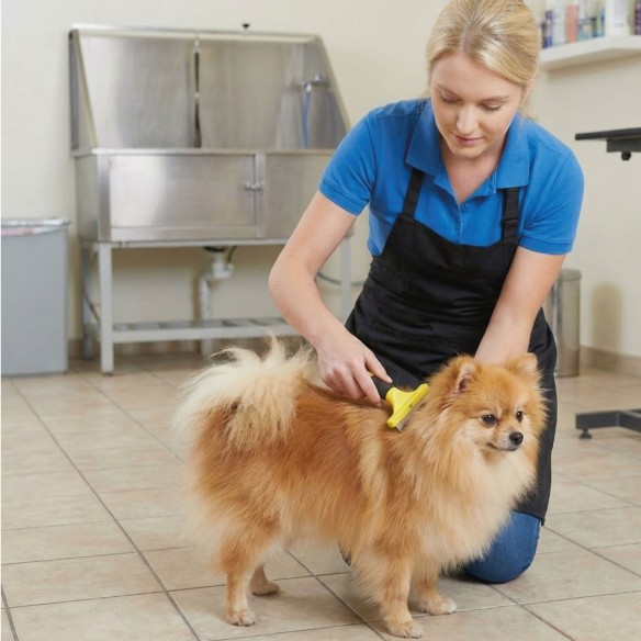 Rastrillo Quitapelo Pequeño Moly Confort para Mascotas